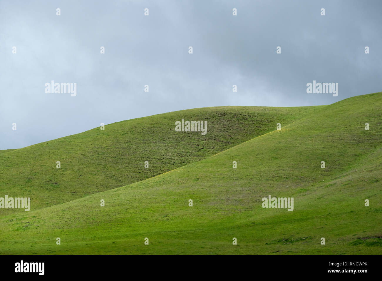Abstrakte grünen Hügeln der zentralen Kalifornien Stockfoto