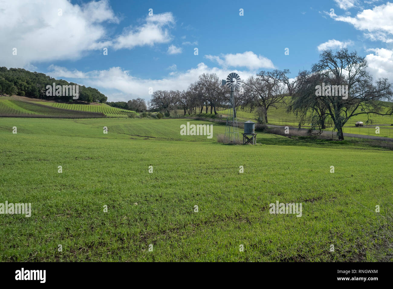 Grünes Feld San Luis Obispo County California Stockfoto