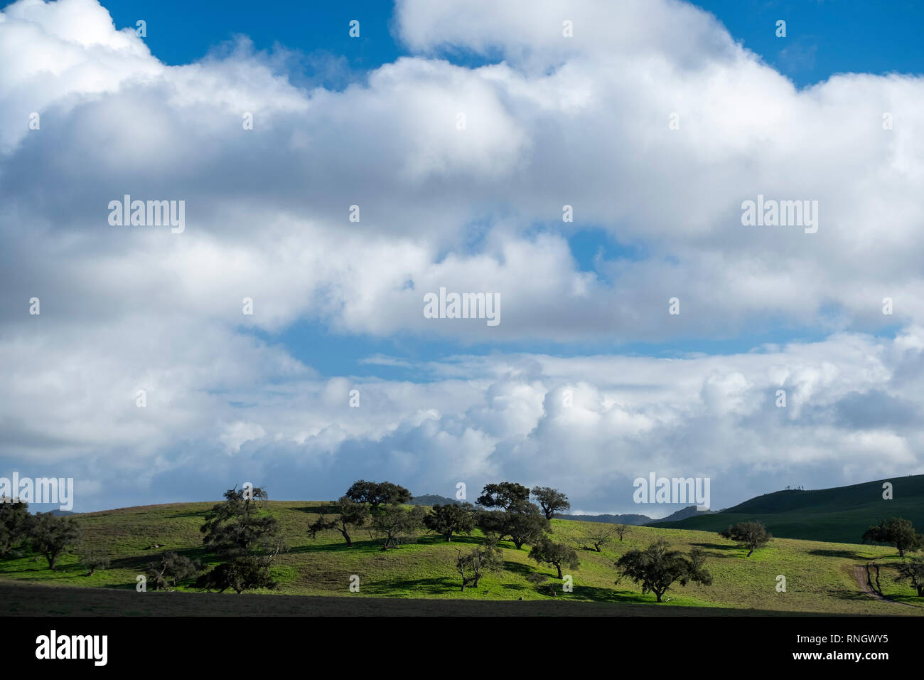 Santa Ynez Rolling Hills, Kalifornien Stockfoto