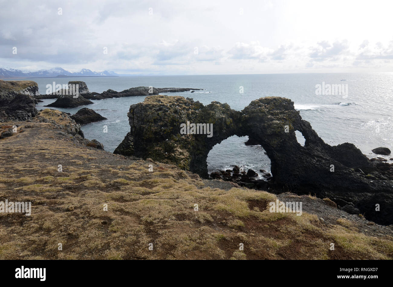 Fantastische arch geformten Felsen entlang der Küste von Arnarstapi Island entfernt. Stockfoto