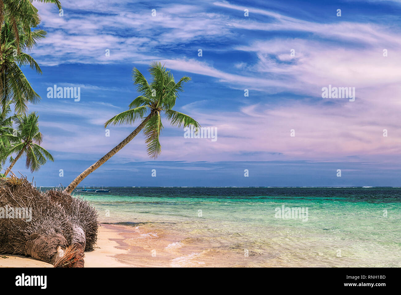Schöner Strand. Blick auf Nizza Tropischer Strand mit Palmen rund um. Urlaub und Ferienhäuser Konzept. Tropical Beach auf den Philippinen an der Küste Insel Siarga Stockfoto