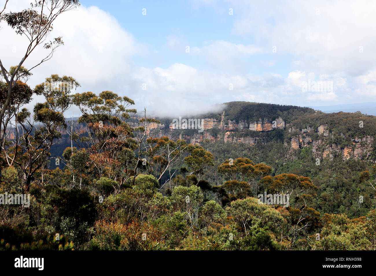 Besuchen sie Australien. Scenics und Landschaften von Australien. Die Blue Mountains sind eine bergige Region und eine Bergkette in New South Wales. Stockfoto