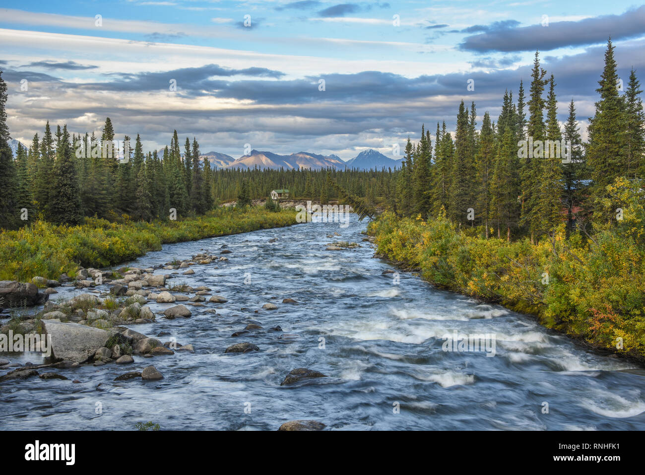 Brushkana Creek auf den Denali Highway, in der Nähe von Cantwell, Alaska, USA Stockfoto