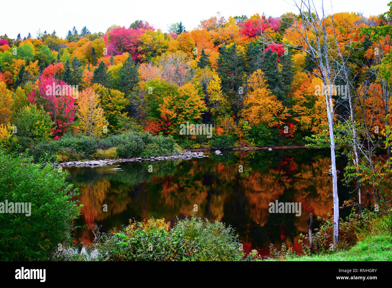 Die Farben des Herbstes, Sainte-Catherine-de-la-Jacques-Cartier, Québec Stockfoto