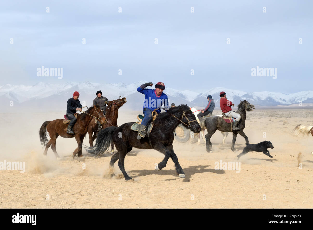 Mitglied des Kok - boru Spiel direkt nach dem Ziel. Kirgisistan. Stockfoto
