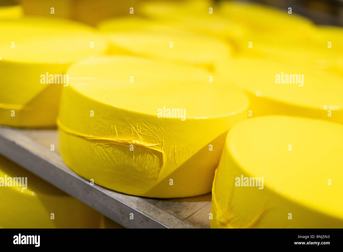 Regale mit gelben Köpfen Käse closeup. Käse Zimmer Stockfoto