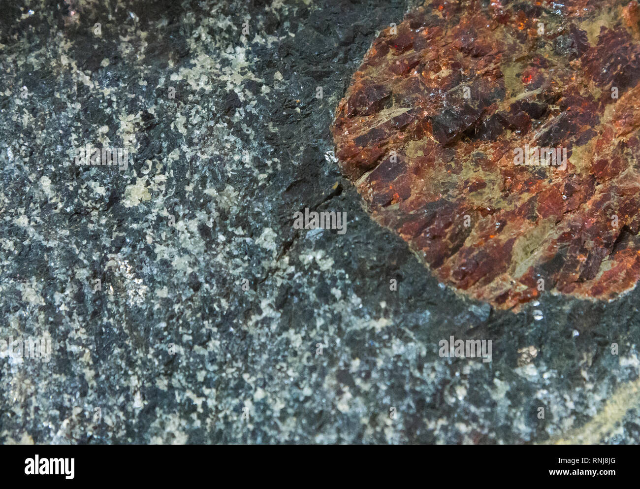 Gore Mountain Granat, riesige Granat Kristall durch hornblende Rand umgeben. Field Museum, Chicago, Illinois, USA. Stockfoto