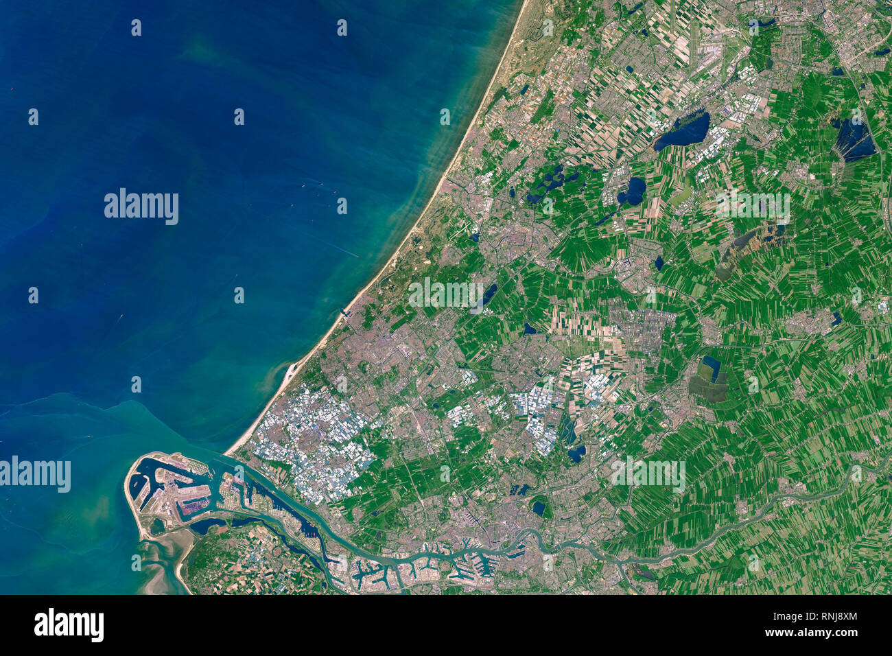 Luftaufnahme der Niederlande und Küste, Blumenfelder, Landwirtschaft und Meer, Holland, Europa Stockfoto