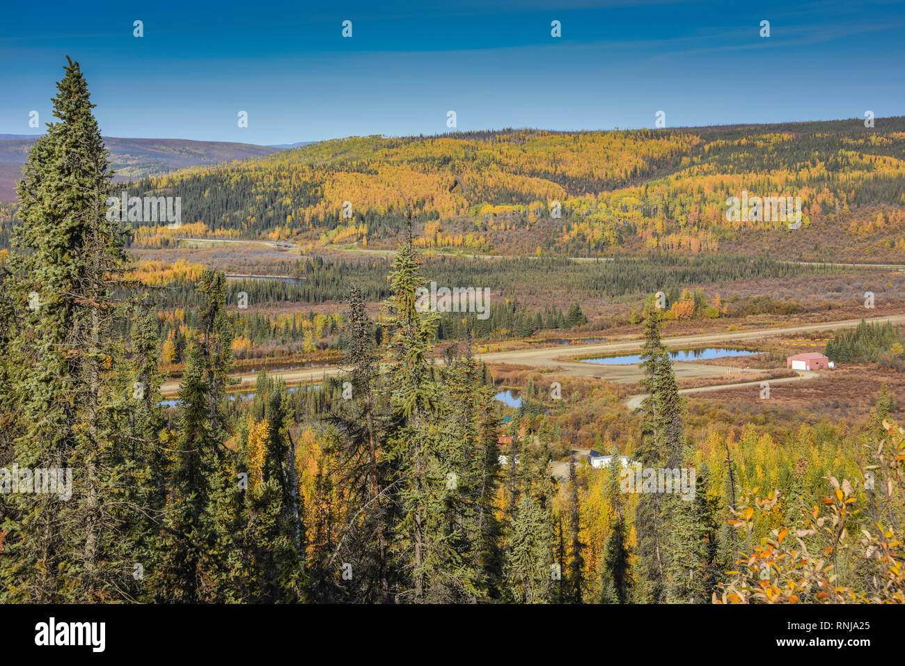 Stadt von Huhn, Taylor Highway, Tok zu Eagle, Alaska, USA Stockfoto