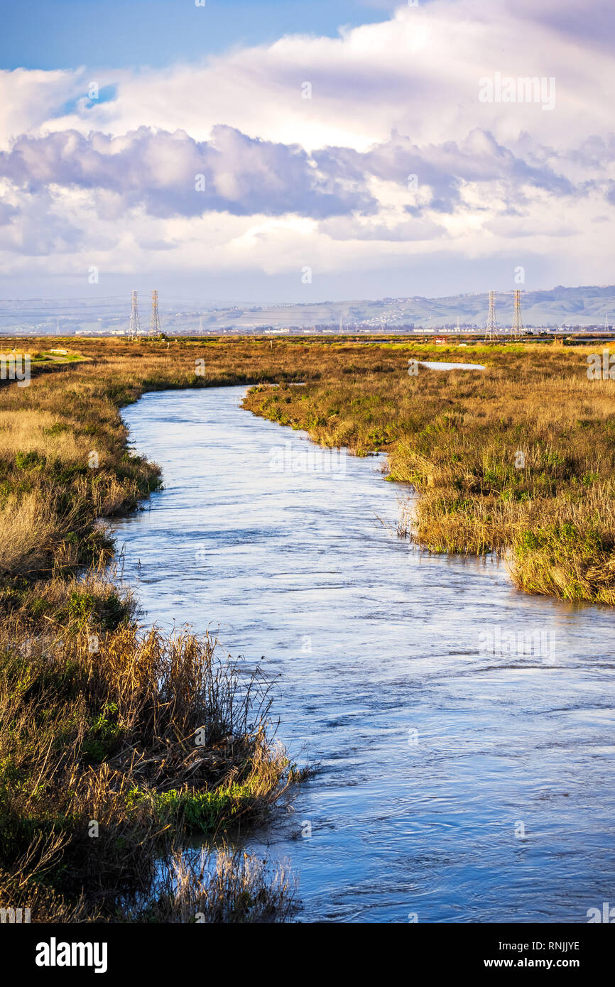 Bach unter die Sümpfe der San Francisco Bay, Mountain View, Kalifornien Stockfoto