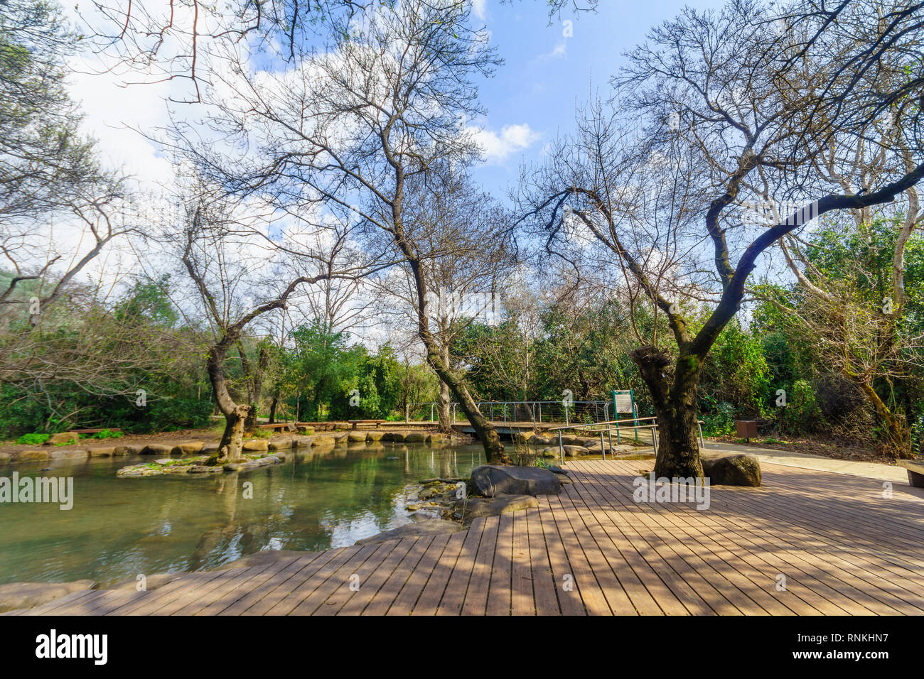 Das Planschbecken in Tel Dan Nature Reserve, im Norden Israels Stockfoto