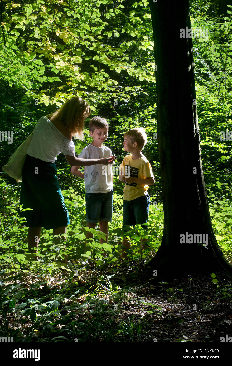 Frau, Mutter mit ihren zwei Kindern, zu Fuß in den Wald von Raismes-Saint Amand Wallers, Regionale Naturpark Scarpe-Escaut (Nordfrankreich). Frau Stockfoto