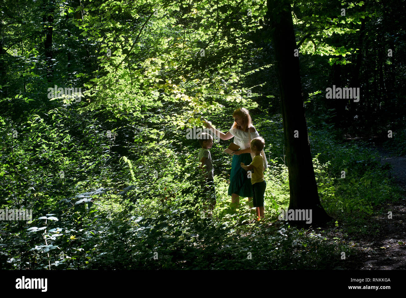 Frau, Mutter mit ihren zwei Kindern, zu Fuß in den Wald von Raismes-Saint Amand Wallers, Regionale Naturpark Scarpe-Escaut (Nordfrankreich). Frau Stockfoto