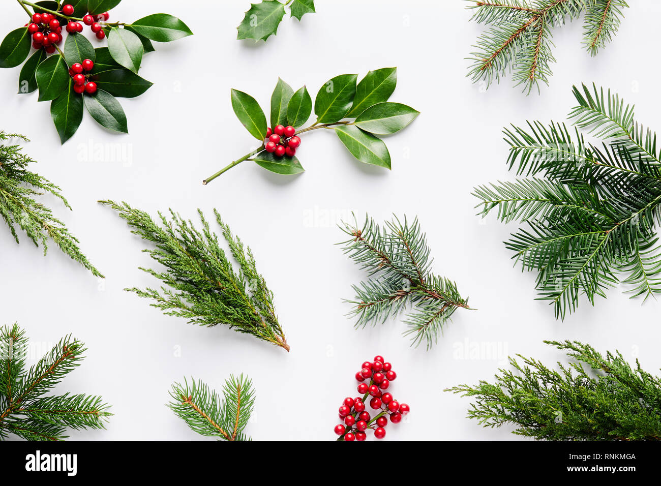 Sammlung des dekorativen Weihnachten Pflanzen mit grünen Blättern und Stechpalme Beeren. Stockfoto