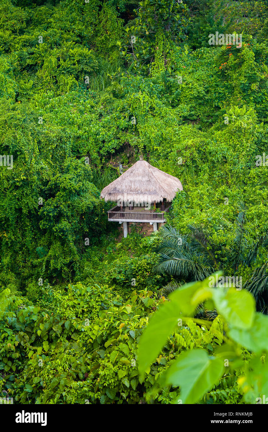 Campuhan Ridge, Ubud, Bali, Indonesien. Scenic Nature Trail, grünen Wald und treetop Villa Refugium. Stockfoto