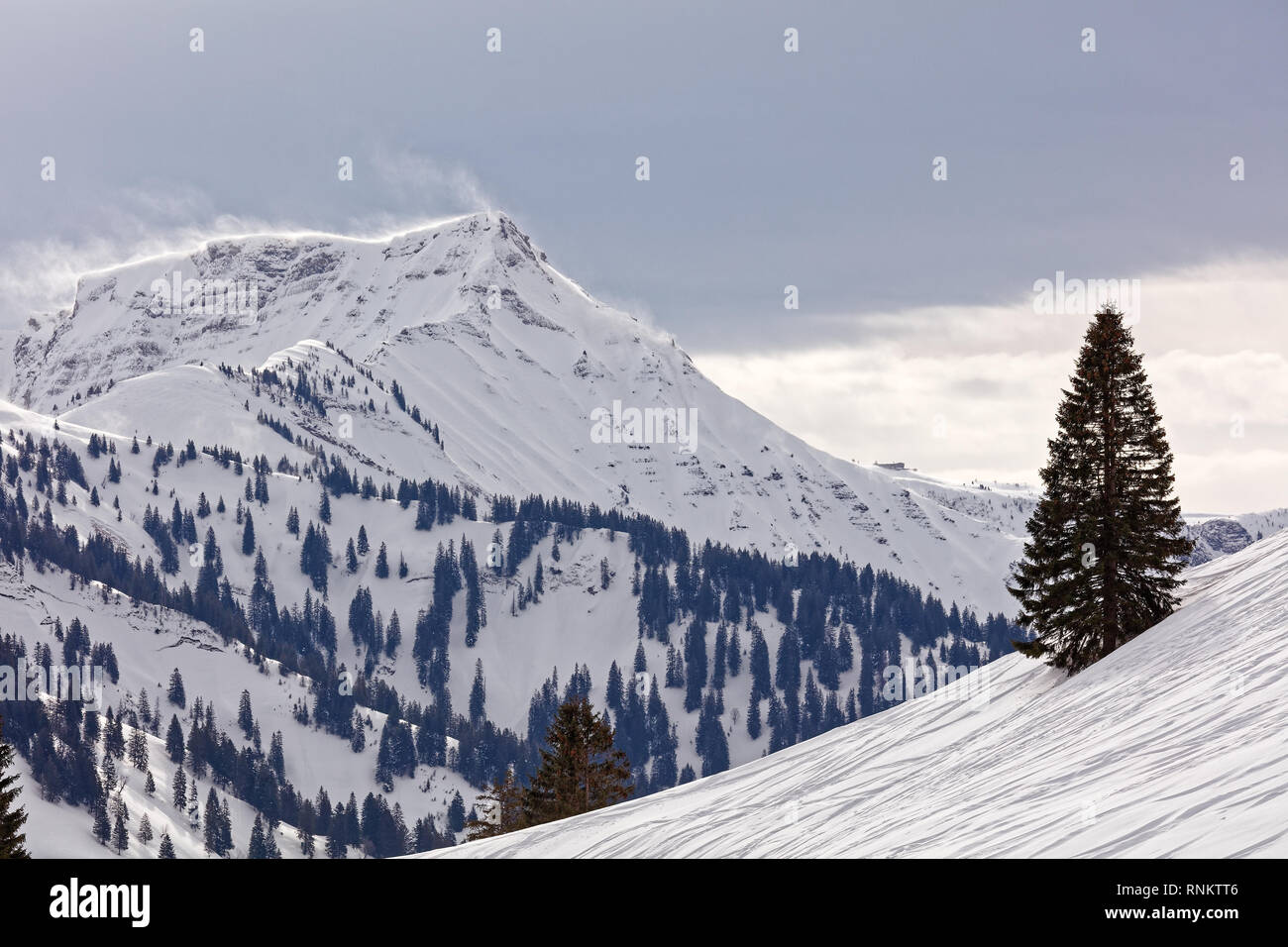 Stürmische Hoher Freschen massiv aus Hinterbergalpe - Vorarlberg, Österreich Stockfoto