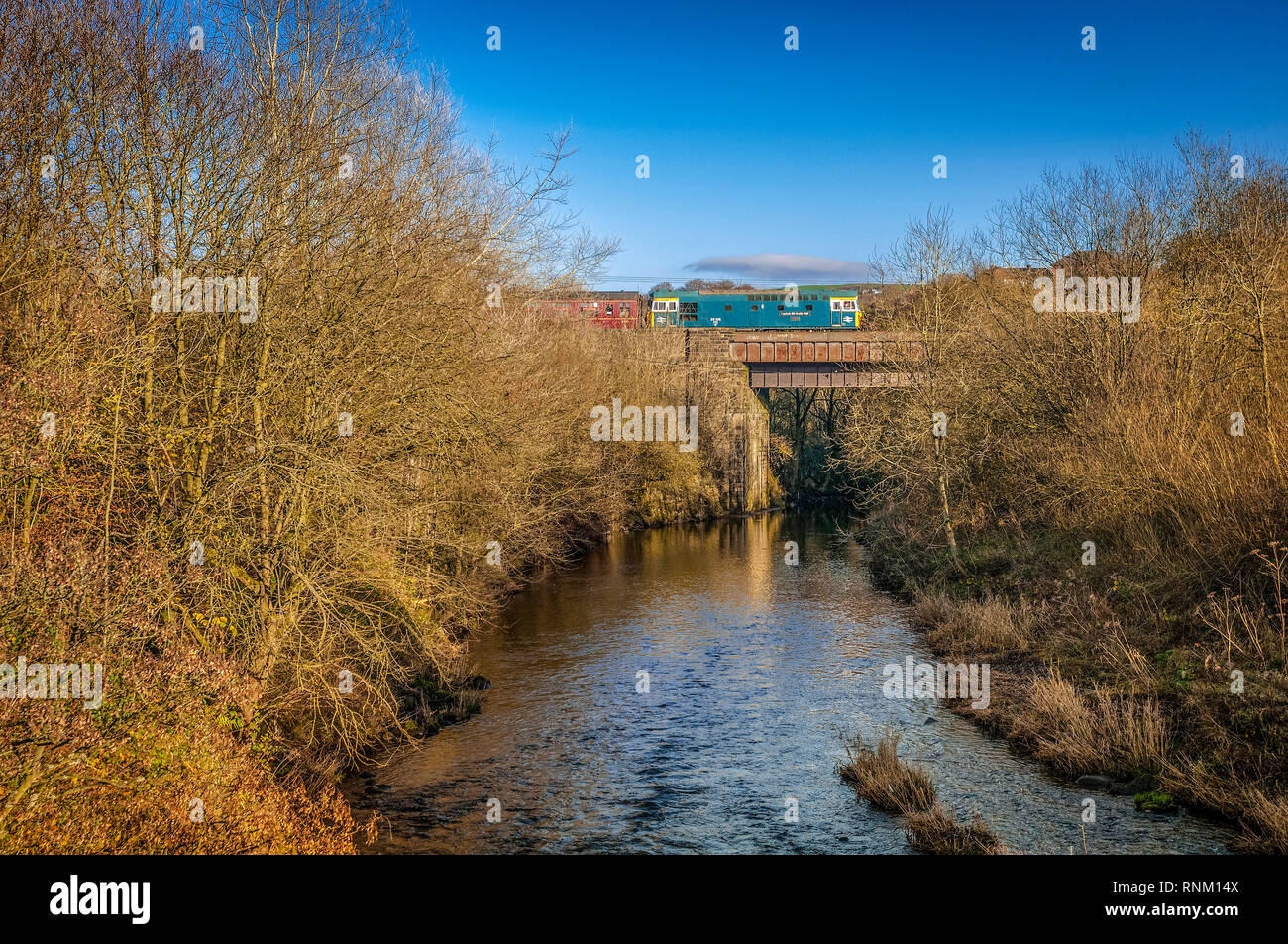 Klasse 33 Diesellok "Captain Bill Smith RNR" über dem Fluss Irwell auf Grate Country Park auf der East Lancashire Museumsbahn auf Bur Stockfoto