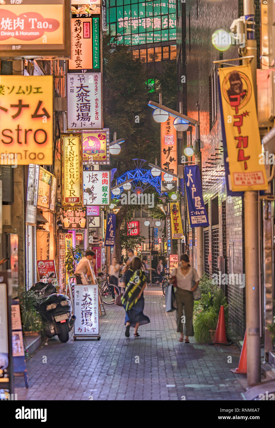 Beleuchtete Schilder Beleuchtung die engen kleinen Gasse der Sunshine zentralen Straße verbindet den Ausgang Ost von Ikebukuro Station an der Yamanote Linie mit Stockfoto