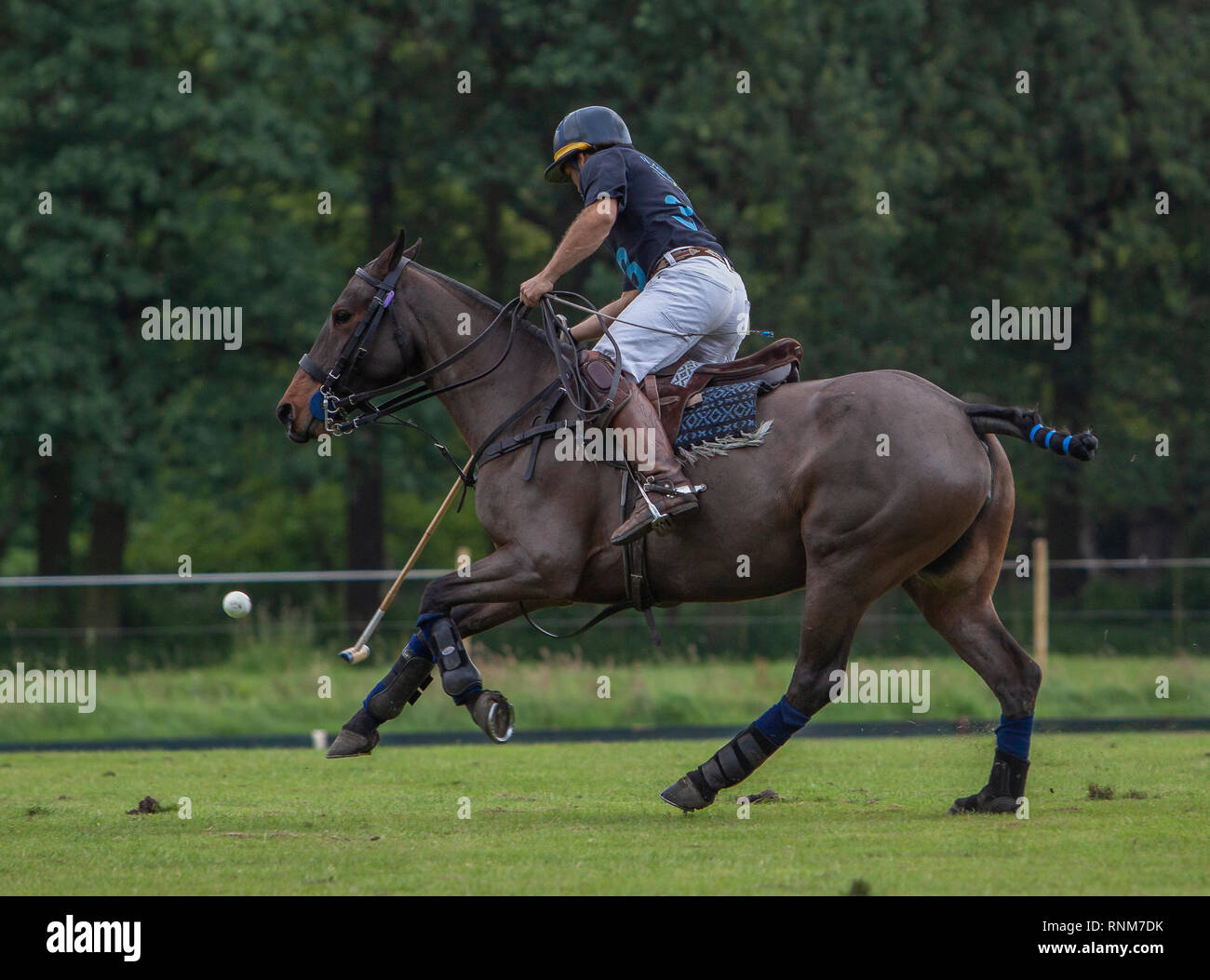 Polo Sport Stockfoto