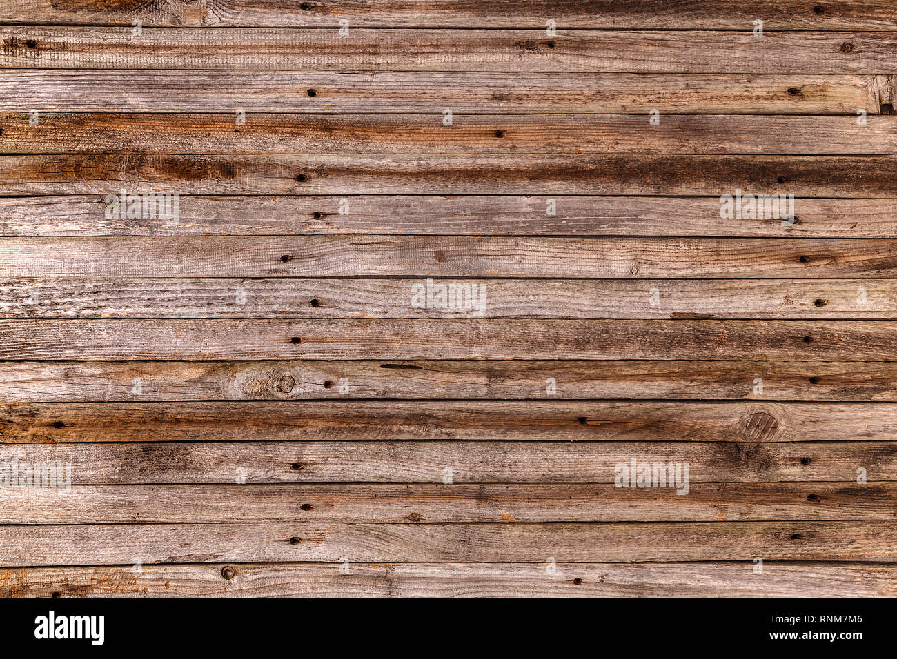 Horizontalen Bretter von Grunge Holz- Textur für Hintergrund Stockfoto