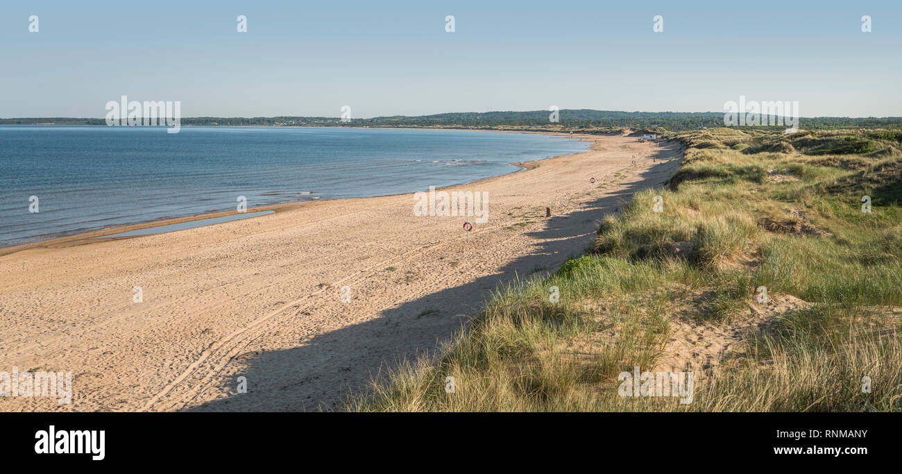 Sanddünen und leeren Strand von Tylosand, Halmstad, Halland, Schweden, Skandinavien Stockfoto