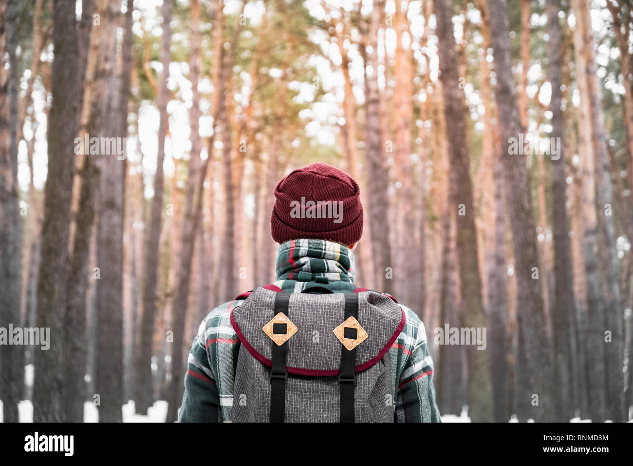 Wandern männliche Person im Winter Wald. Mann im karierten Hemd Winter Wandern im schönen verschneiten Wald Stockfoto