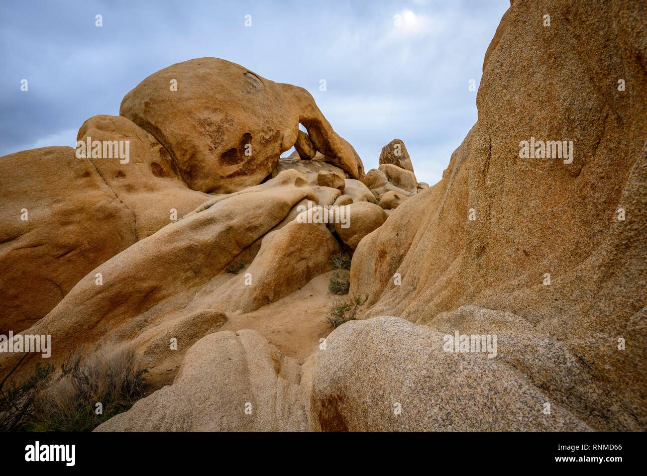 Felsformationen, hinten links Arch Rock, Rock Arch, monzogranite Formation, Arch Rock Nature Trail, White Tank Campground Stockfoto