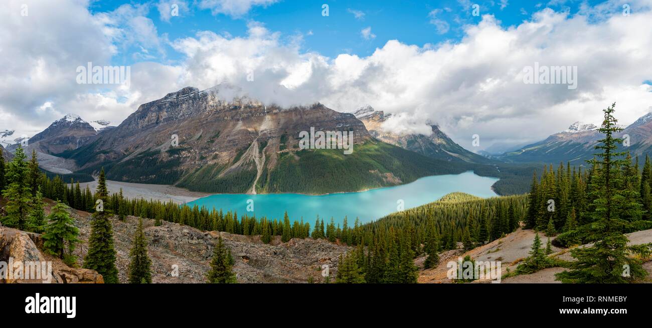 Die Wolken hängen in den Bergspitzen, türkisfarbenen Gletscherseen von Wald umgeben, Peyto Lake, Rocky Mountains, Banff National Park, Alberta, Provinz, kann Stockfoto