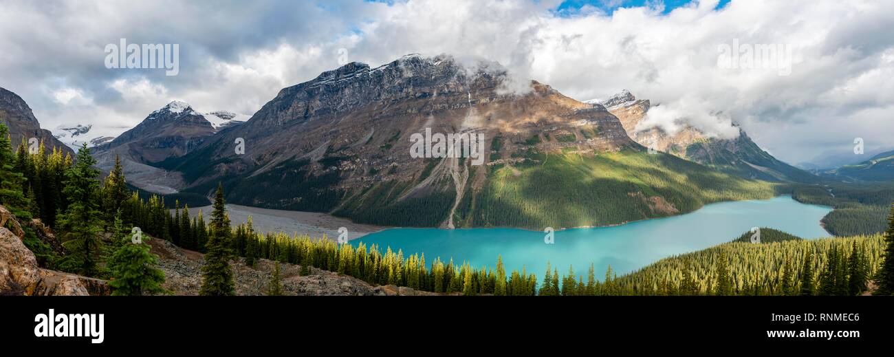 Glacier Tal und die Gletscher mit türkisfarbenen Gletscherseen von Wald umgeben, Peyto Lake, Rocky Mountains, Banff National Park, Alberta, Provinz, Canad Stockfoto