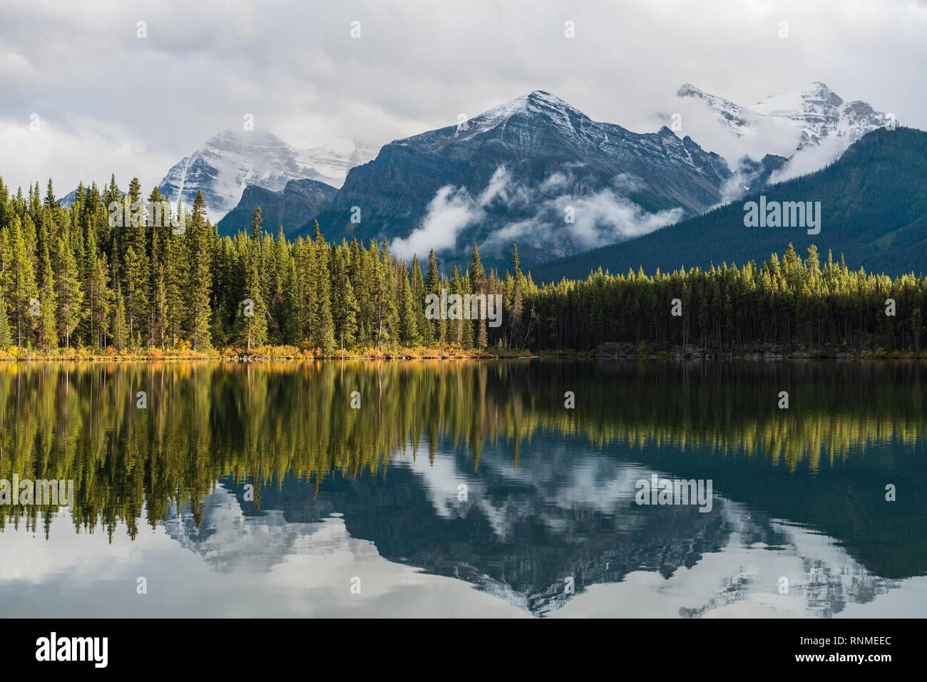 Herbert Lake, Lake mit Reflexion des Bogens, Banff National Park, der Kanadischen Rocky Mountains in Alberta, Kanada, Nordamerika Stockfoto