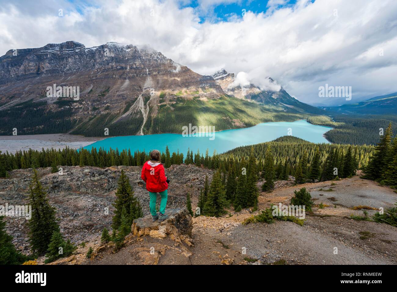Wanderer mit Blick in die Natur, Türkis Lake, Peyto Lake, Rocky Mountains, Banff National Park, Alberta, Kanada, Nordamerika Stockfoto