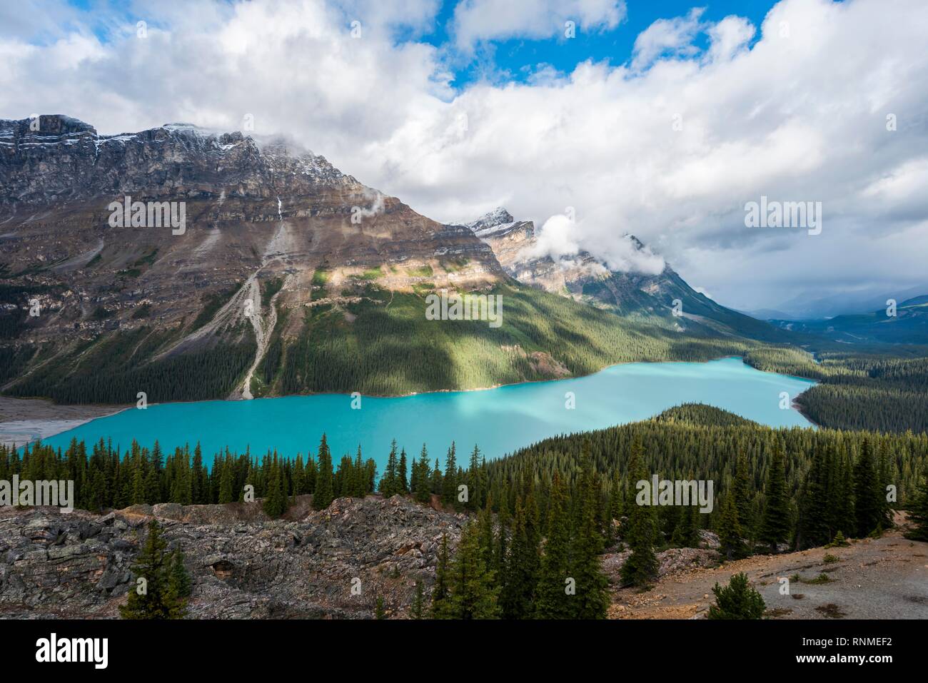 Die Wolken hängen in den Bergspitzen, türkisfarbenen Gletscherseen von Wald umgeben, Peyto Lake, Rocky Mountains, Banff National Park, Alberta, Provinz, kann Stockfoto