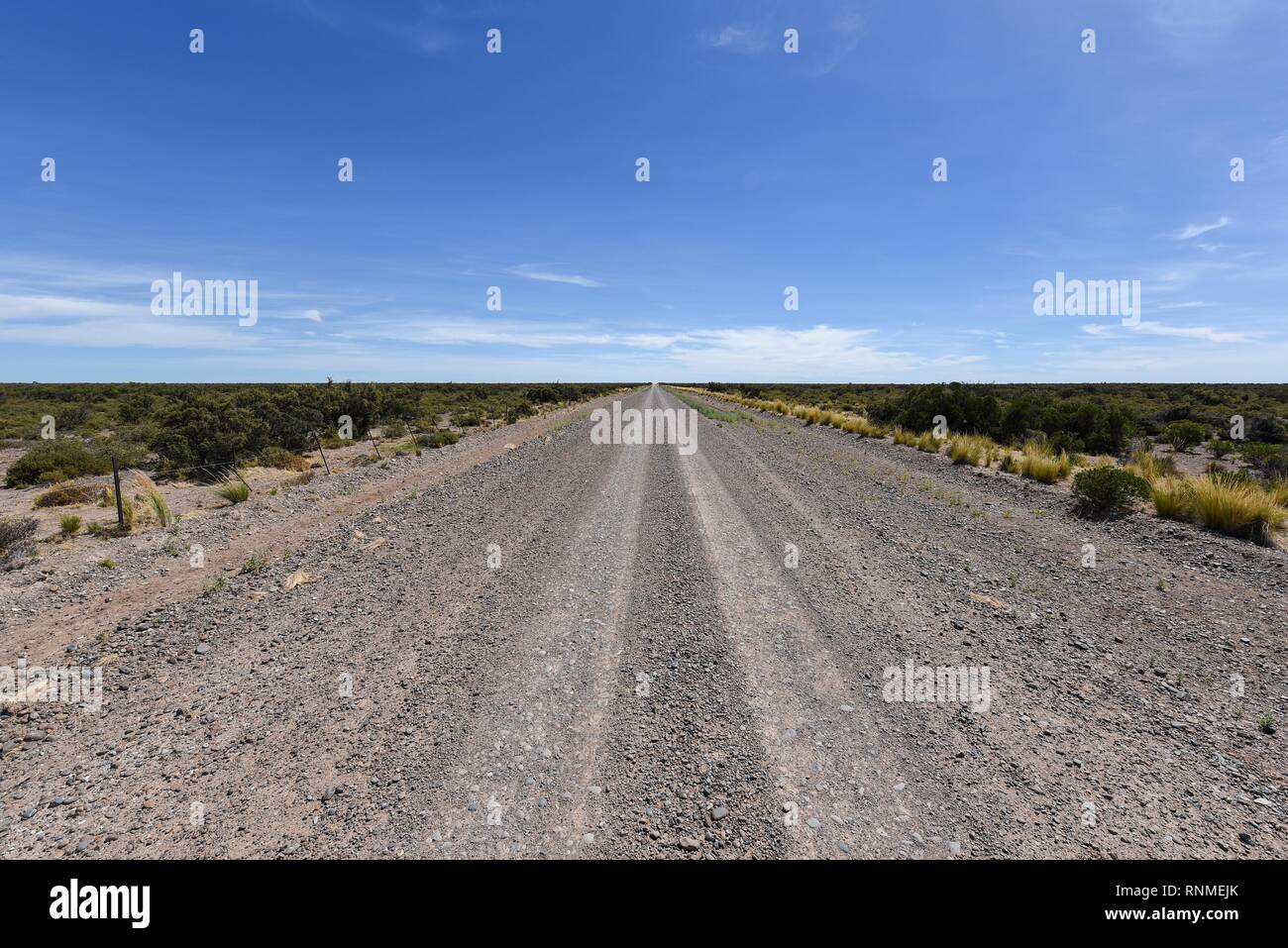 Lange Gerade Schotterpiste durch die Pampa bis an den Horizont, Peninsula Valdes, Patagonien, Argentinien Stockfoto