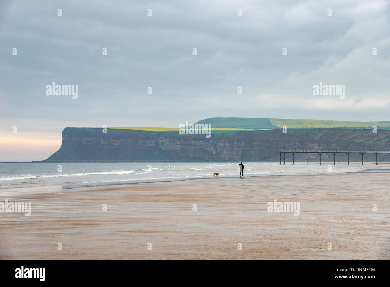 Dog Walker am Strand von Saltburn-by-the-Sea, North Yorkshire, England Stockfoto