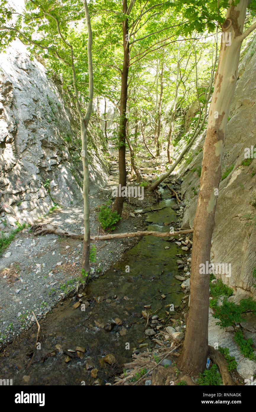 Nebenfluss des Flusses Vardar durch das Eiserne Tor Berg Schlucht fließt, Demir Kapija, das Eiserne Tor, Mazedonien Stockfoto