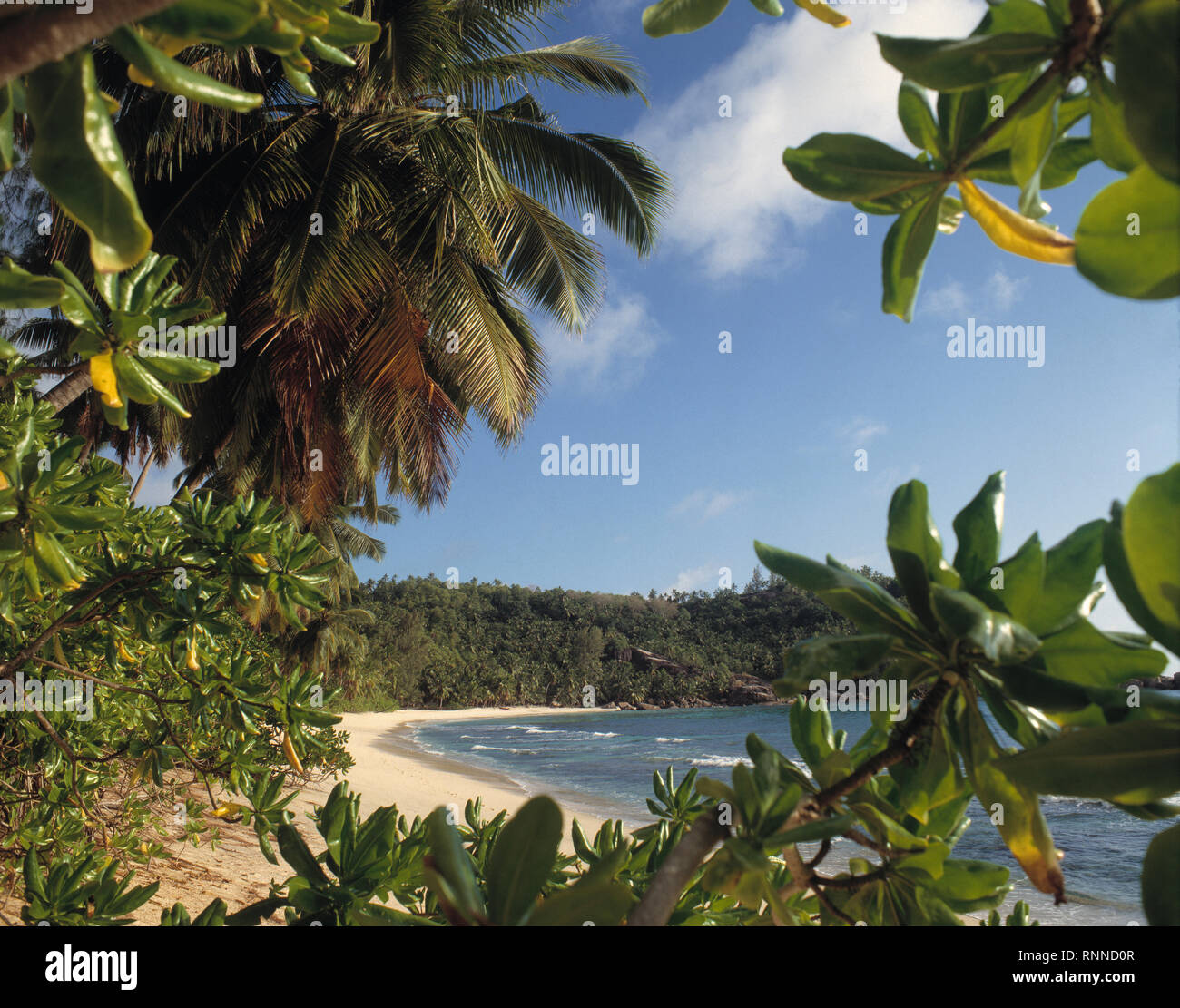 Seychellen. Takamaka Beach Szene. Stockfoto