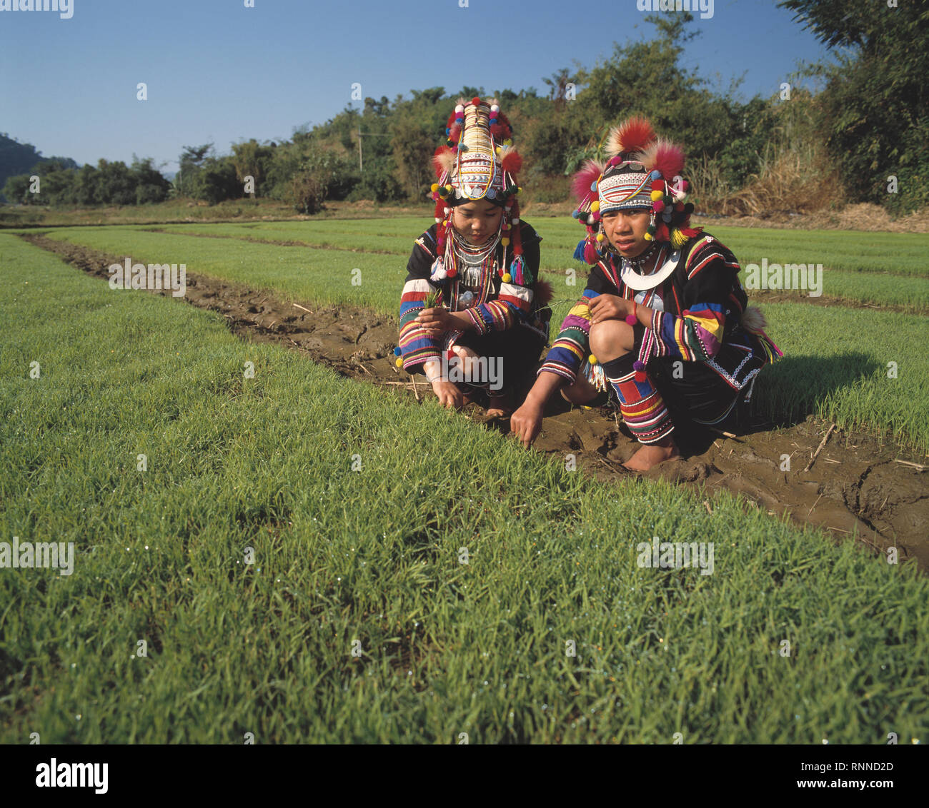 Thailand. Zwei Akha Hill Tribe Frauen bei der Arbeit in den Feldern. Stockfoto