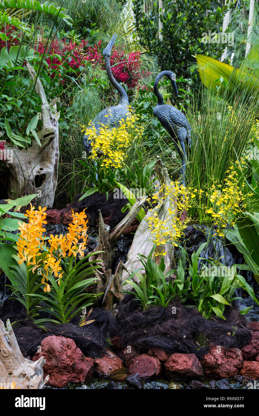 Singapur Botanischen Garten, National Orchid Garden. Stockfoto
