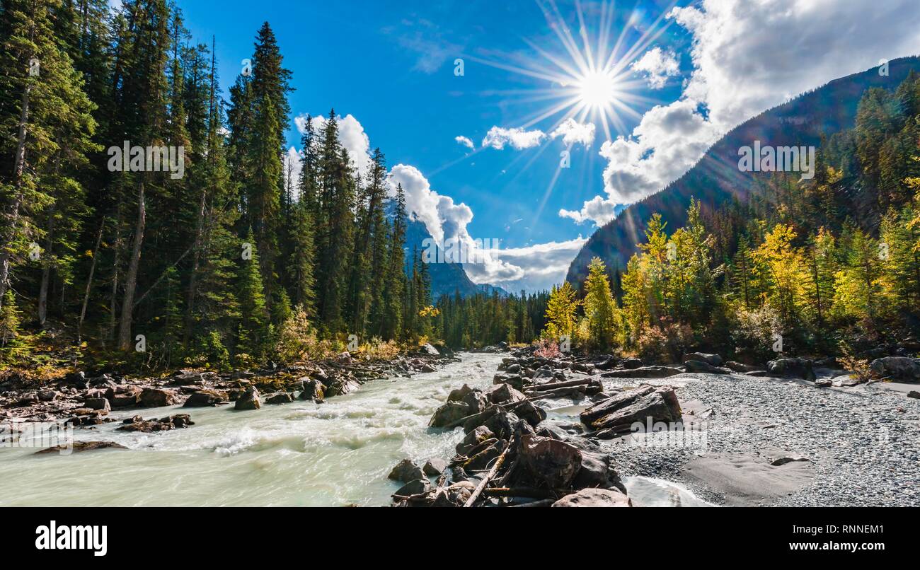 Wilder Fluss im Yoho Valley, schönes Wetter, Himmel mit Sun Star, Rocky Mountains, Yoho National Park, Provinz Alberta, Kanada Stockfoto Wilder Fluss im Yoho Valley, schönes Wetter, Himmel mit Sun Star, Rocky Mountains, Yoho National Park, Provinz Alberta, Kanada Stockfoto