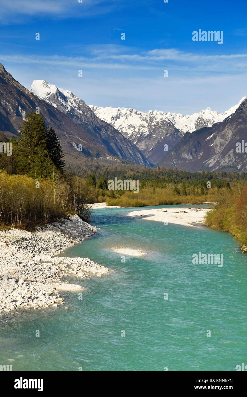 Mountain River Soca, hinter schneebedeckten Kanin Berge, Bovec, Soca Tal, die Julischen Alpen, Slowenien Stockfoto