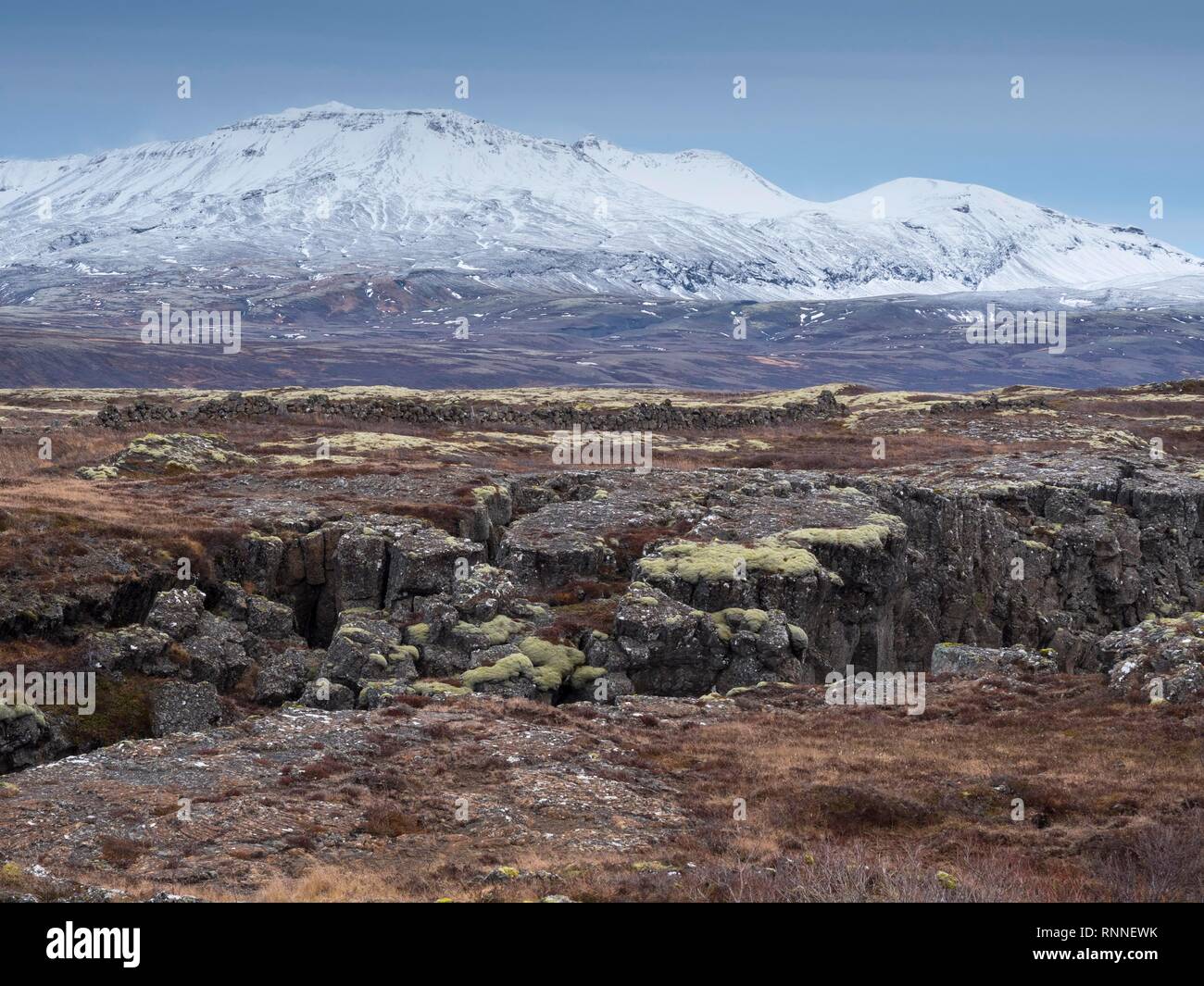 Rift Valley zwischen zwei Kontinentalplatten, Thingvellir Nationalpark, UNESCO-Weltkulturerbe, Golden Circle, Island Stockfoto