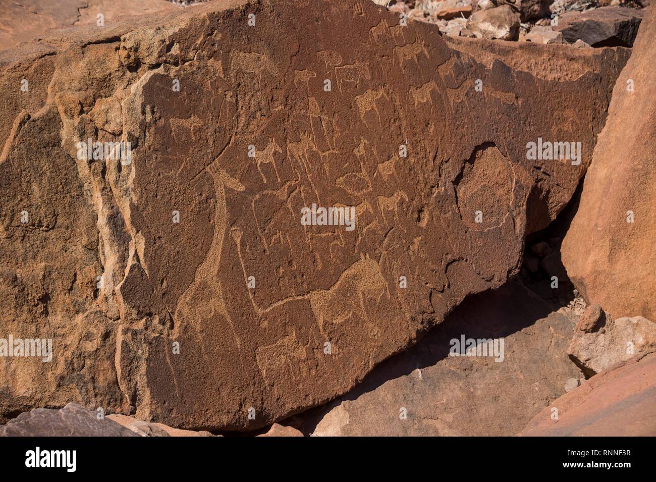 Alte Felsgravuren, Twyfelfontein, Namibia Stockfoto