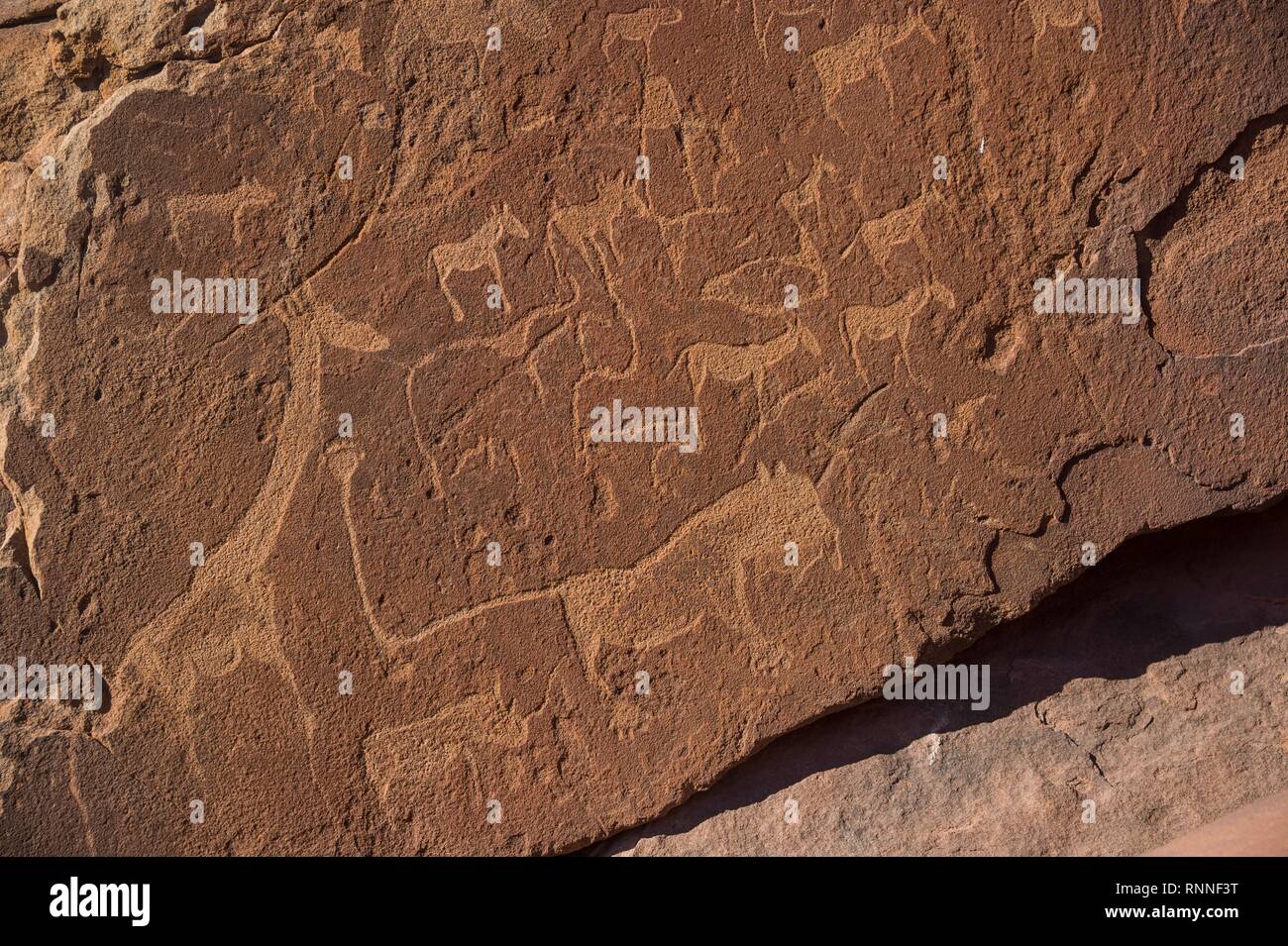 Alte Felsgravuren, Twyfelfontein, Namibia Stockfoto