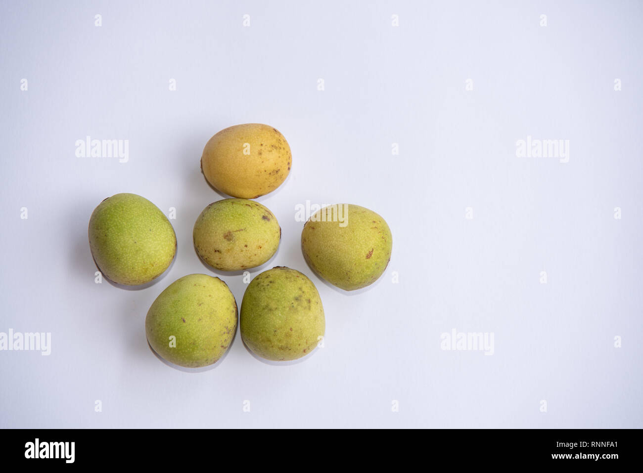Marula Früchten in verschiedenen Phasen der Reifung Stockfoto
