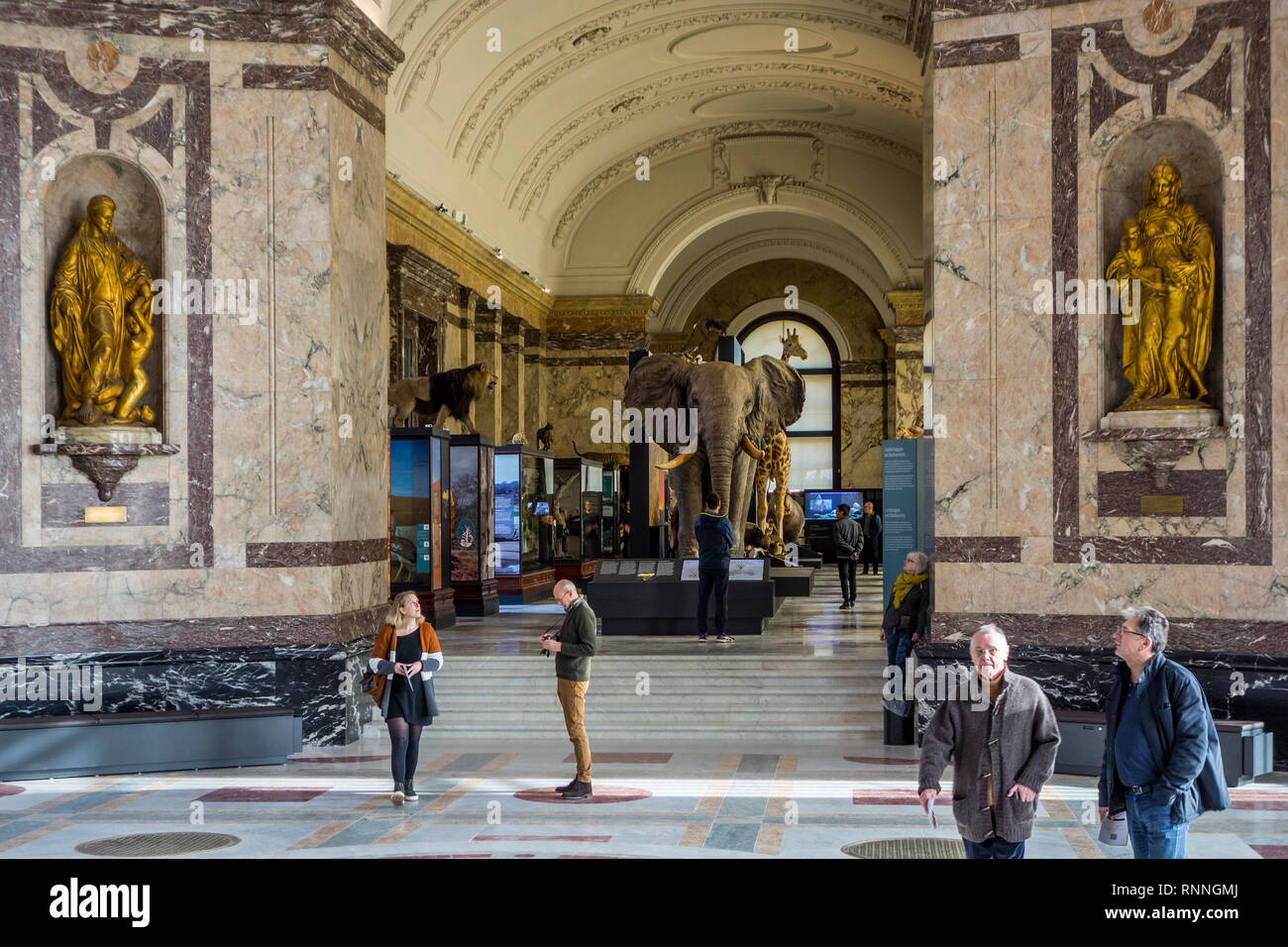 Innenraum der AfricaMuseum/Königliches Museum für Zentralafrika, Ethnographie und Natural History Museum in Tervuren, Flämisch Brabant, Belgien Stockfoto
