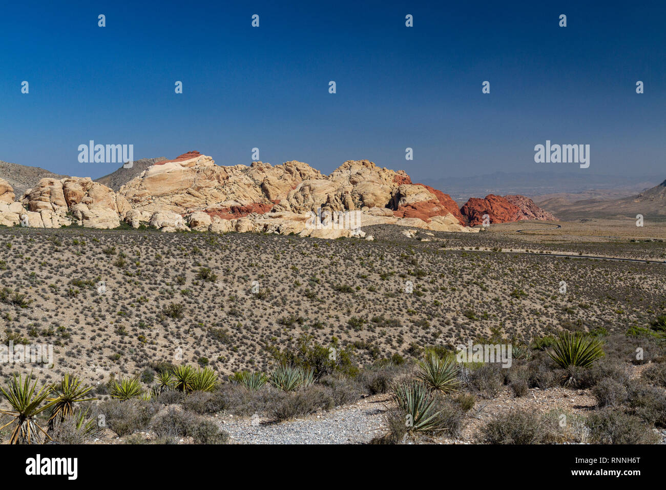 Der Red Rock Canyon National Conservation Area, Las Vegas, Nevada, USA. Stockfoto