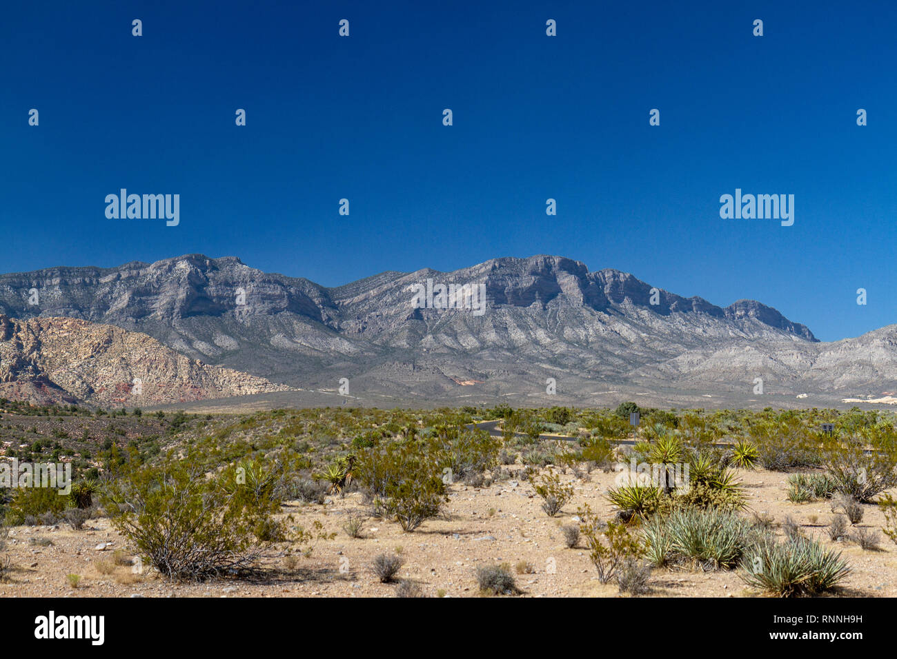 White Rock Hills, Red Rock Canyon National Conservation Area, Las Vegas, Nevada, USA. Stockfoto