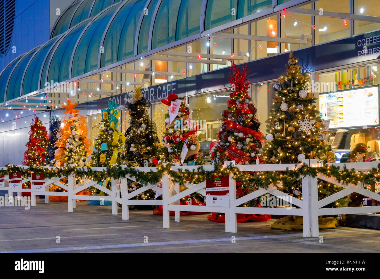 Weihnachtsbäume, Canada Place, Nacht, Vancouver, British Columbia, Kanada Stockfoto