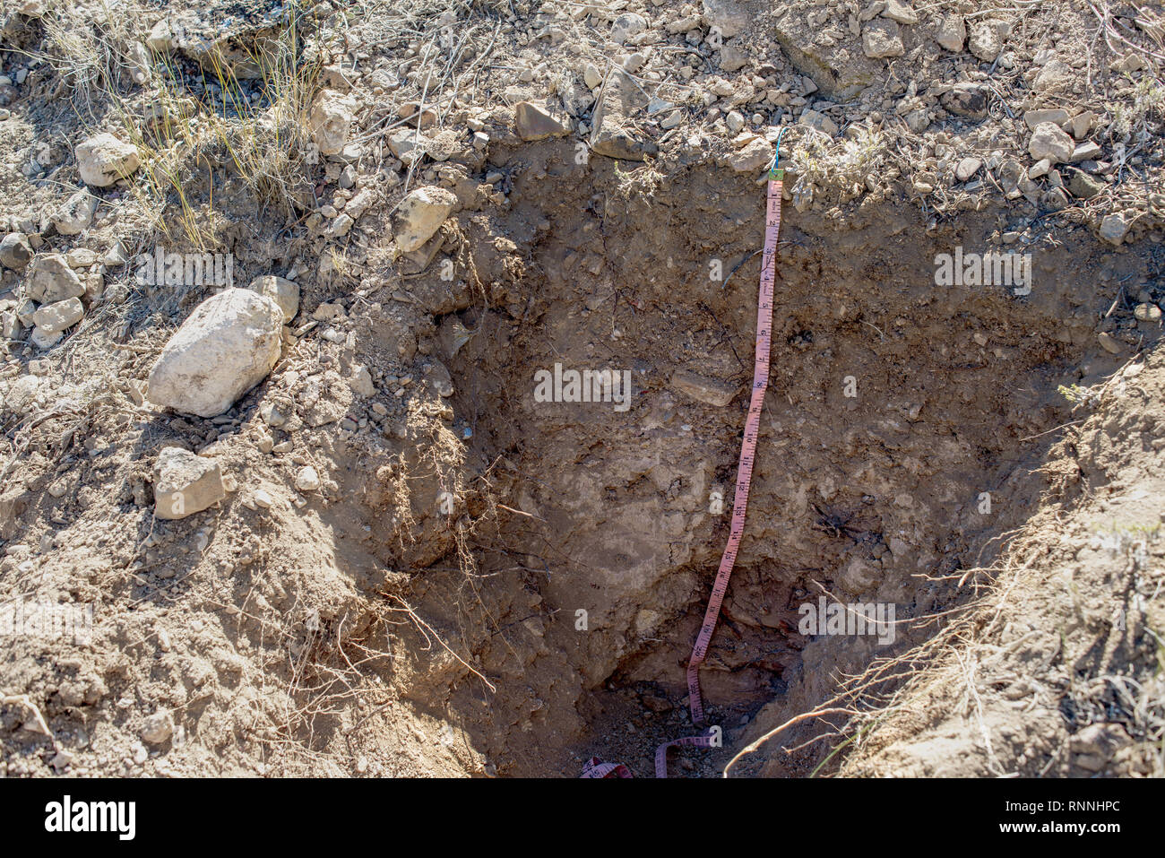 USA, Nevada, White Pine County. Bodenkunde Monitoring Grube für die Ermittlung von bodenprofil eines wöchentlichen entwickelt aridsol mit hellbrauner Farbe und litt Stockfoto