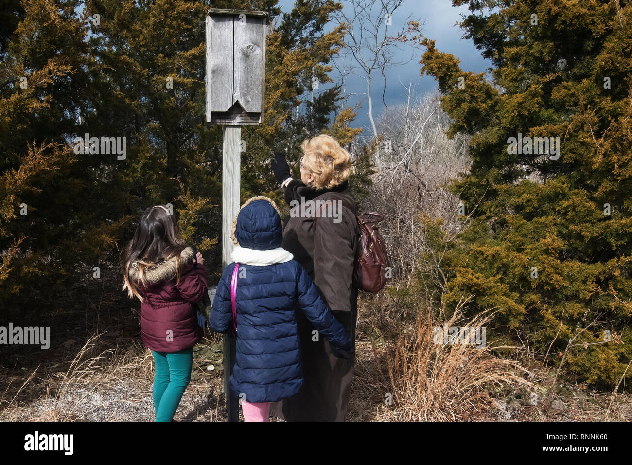 Erwachsene Frau und Kinder suchen Bei bat Box Stockfoto